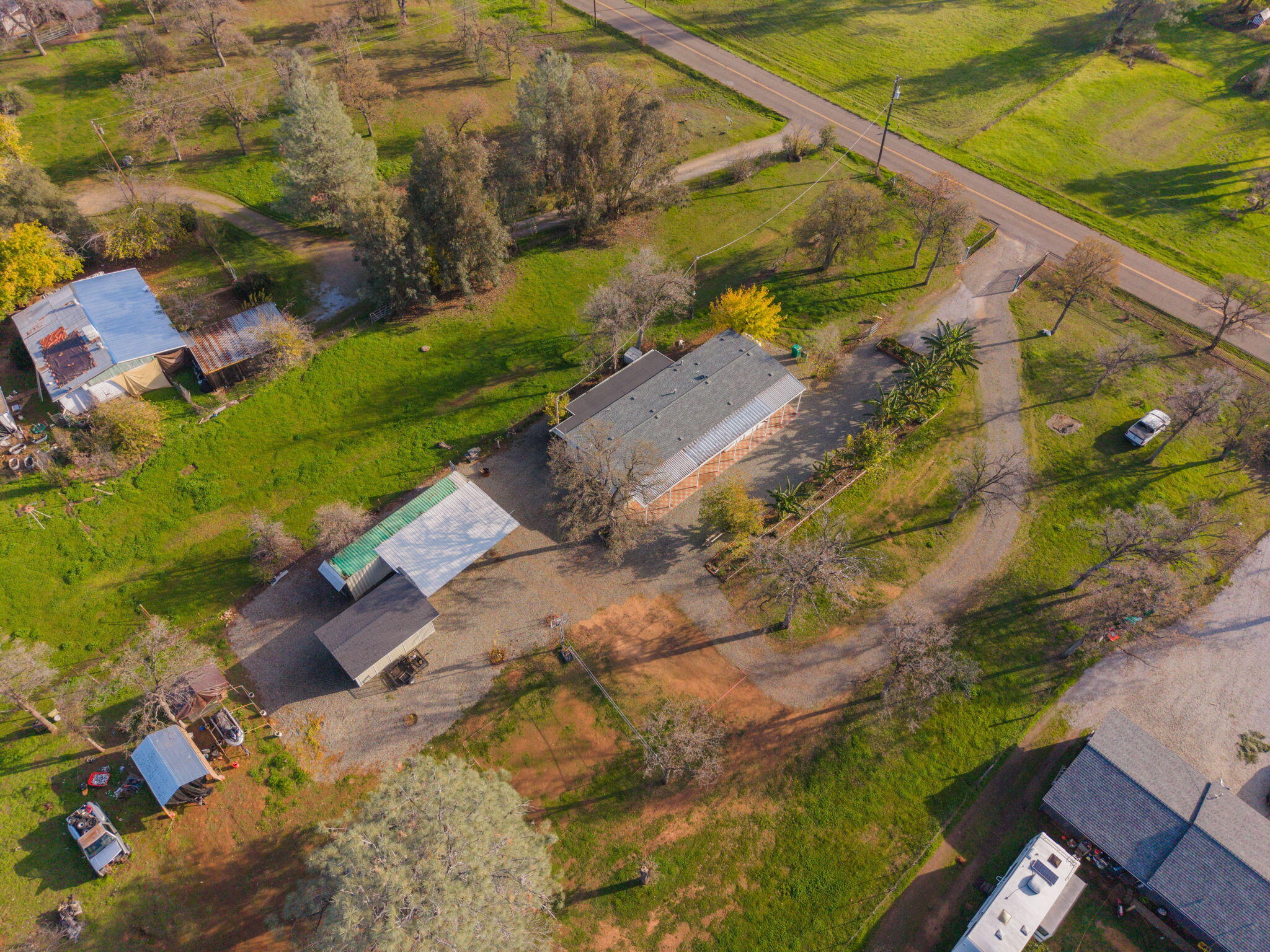 17300 Lassen Avenue Anderson, CA 96007 - Photo 34 of 34 a view of banana tree