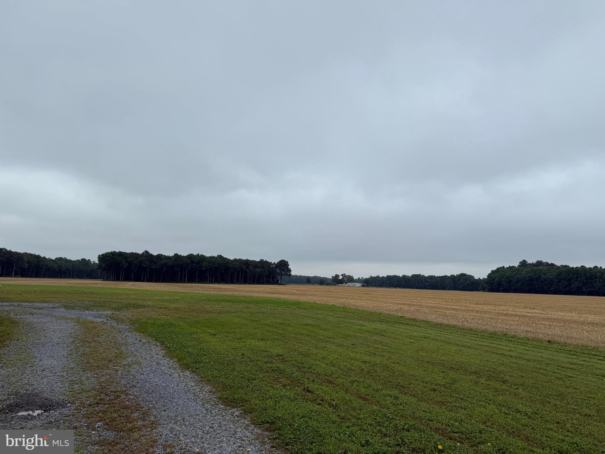 27381 Greenwood Road Denton, MD 21629 - Photo 5 of 21