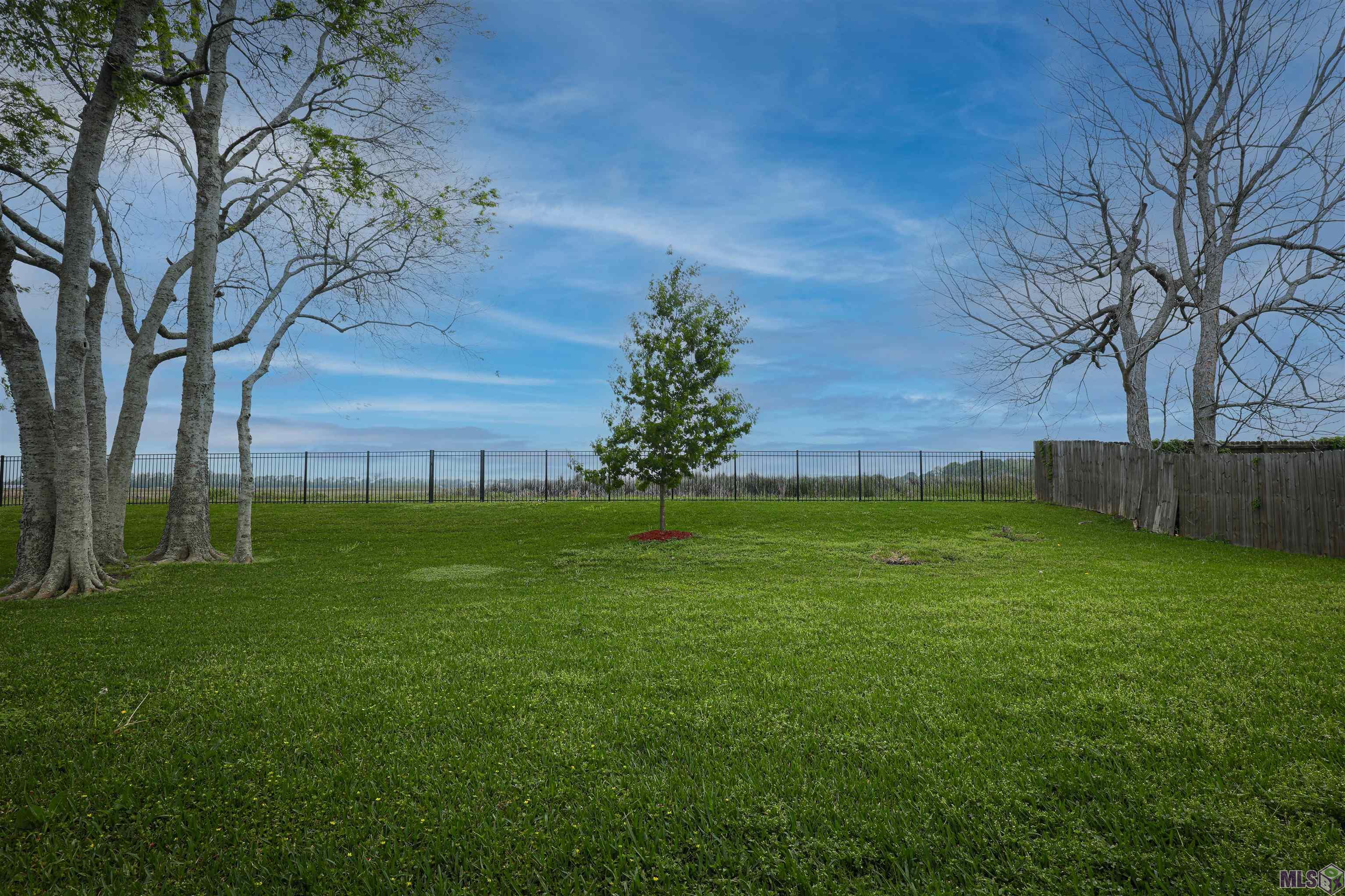 10652 Springglen Court Baton Rouge, LA 70810 - Photo 7 of 9 Overlooking Longwood Pl.