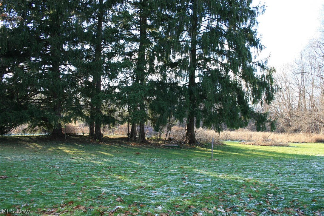 1104 State Road Hinckley, OH 44233 - Photo 4 of 28 Gallery Image 4