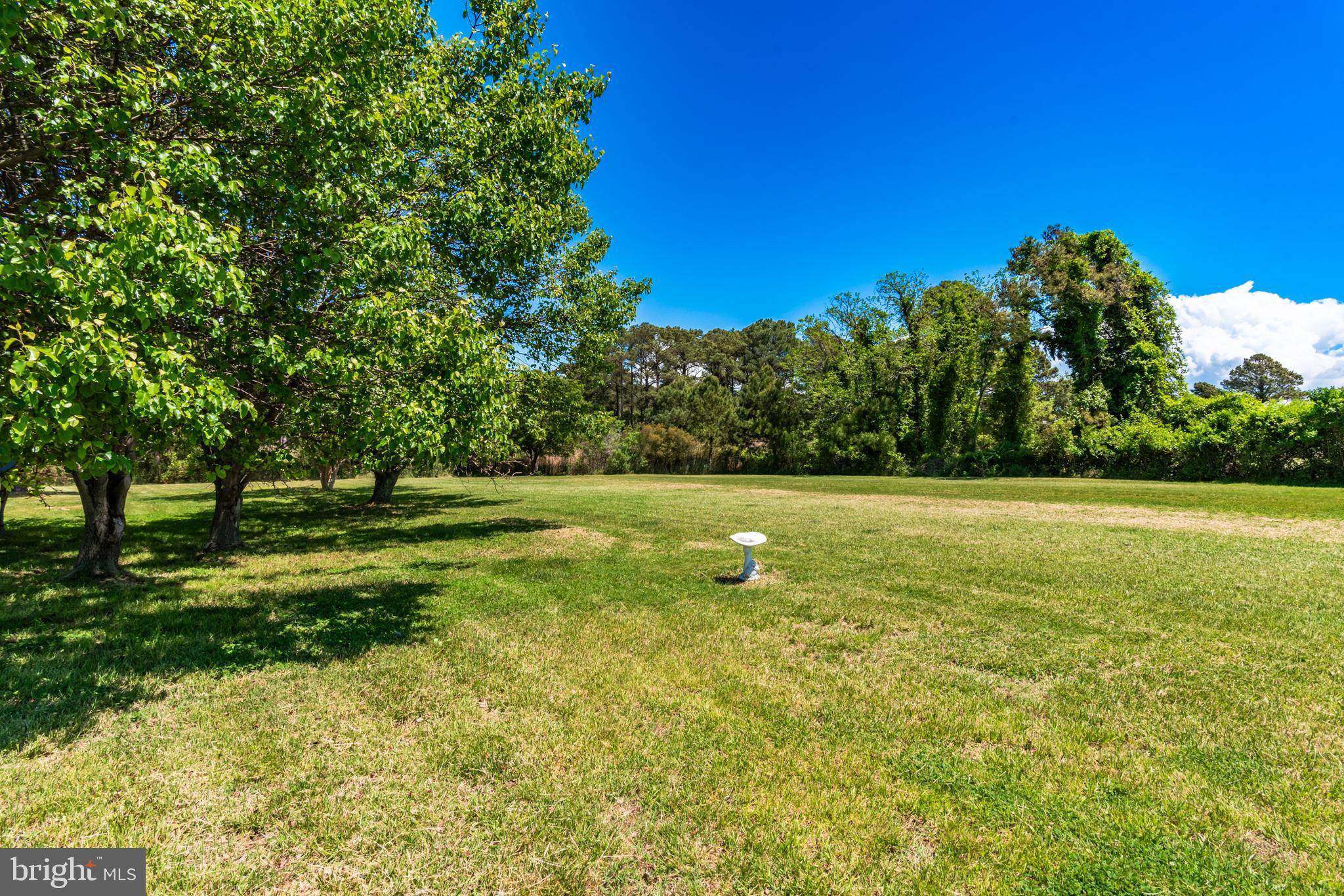 23212 Haines Point Road Chance, MD 21821 - Photo 45 of 57 a view of outdoor space with deck and green space