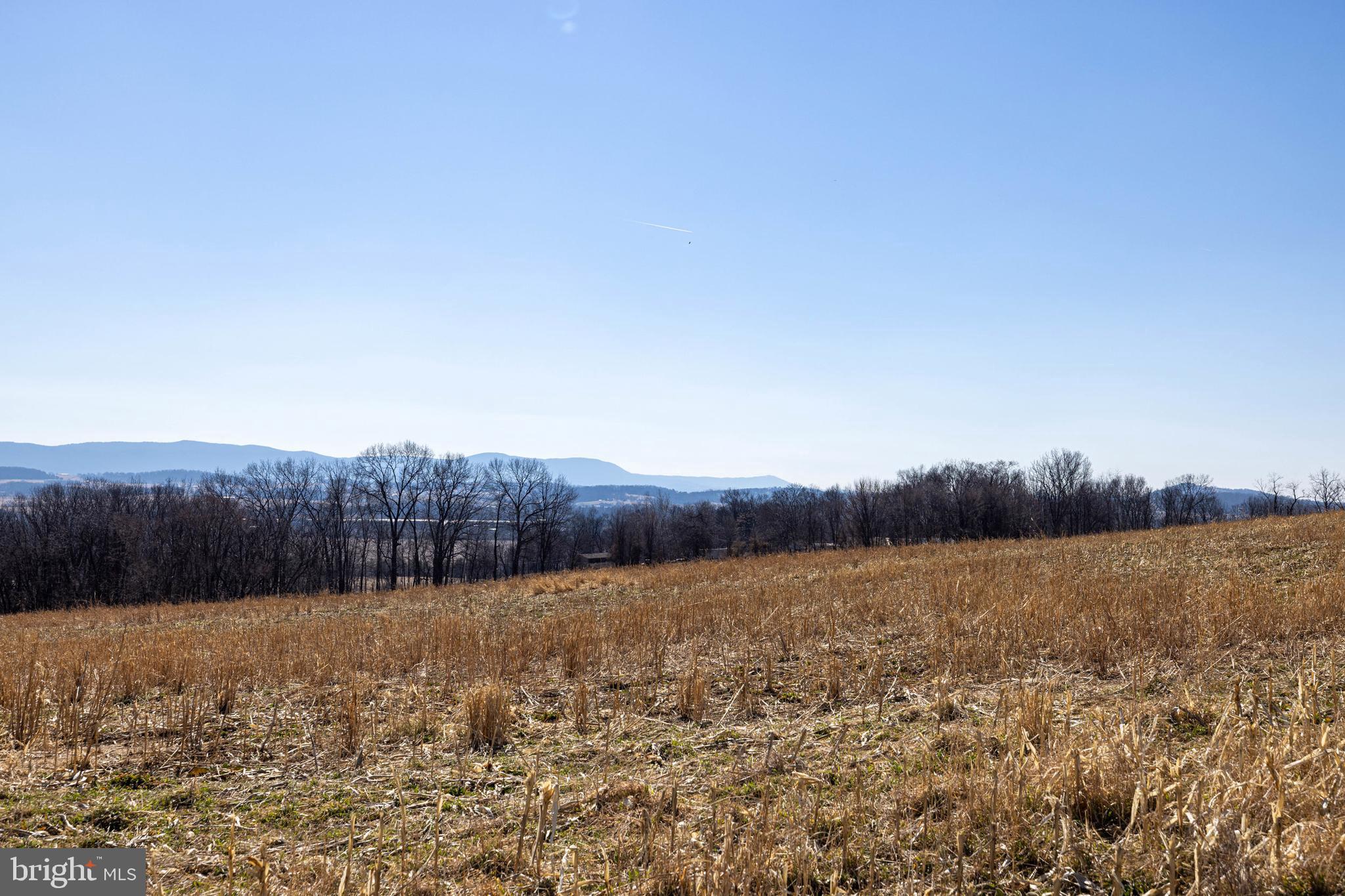 Neighbors Lane Timberville, VA 22853 - Photo 21 of 38