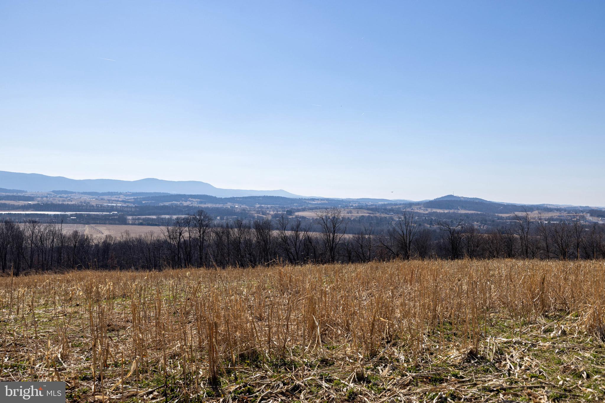 Neighbors Lane Timberville, VA 22853 - Photo 24 of 38