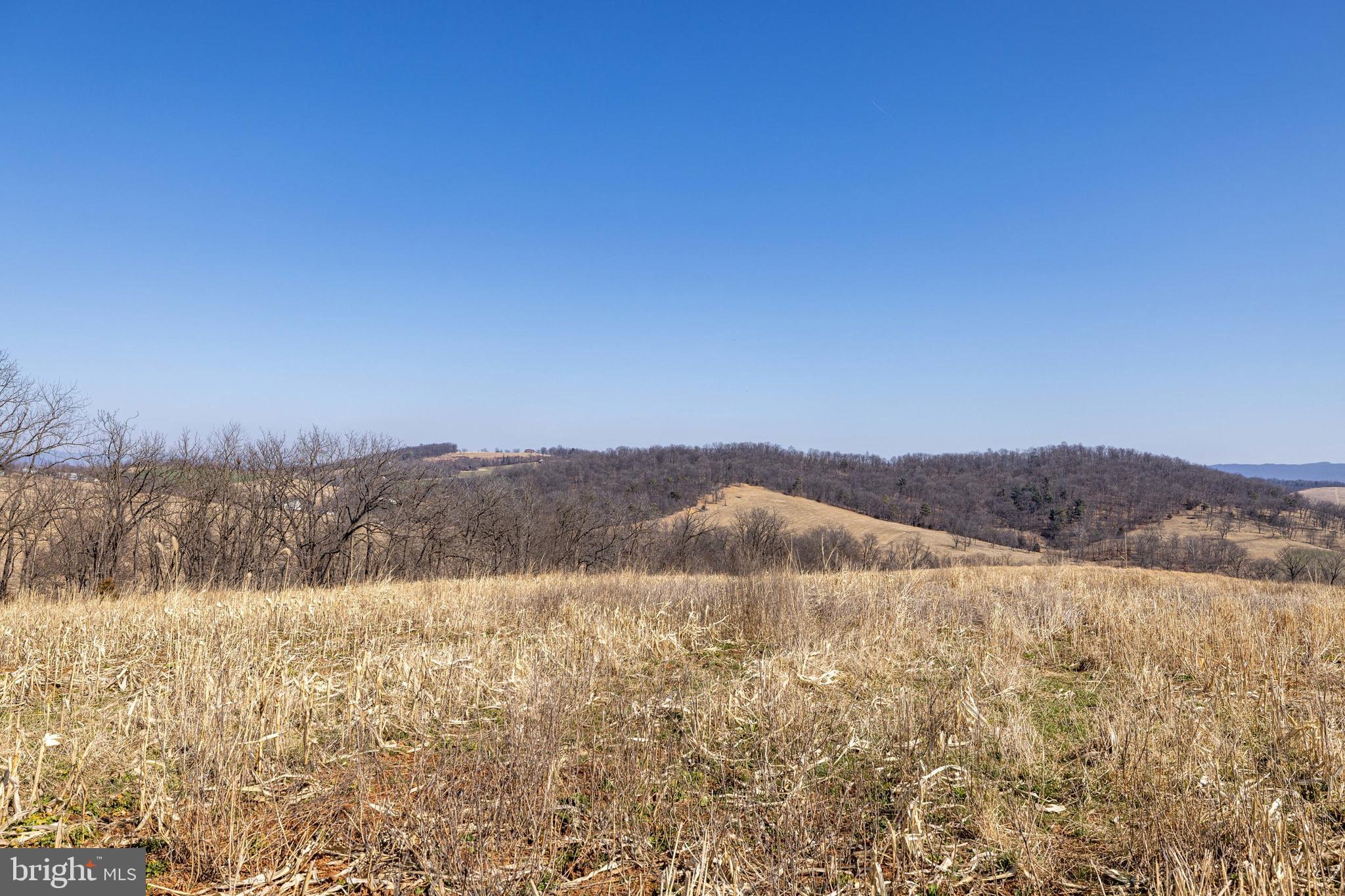 Neighbors Lane Timberville, VA 22853 - Photo 29 of 38