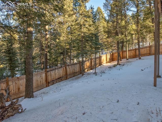 420 Kutsu Ridge Road Florissant, CO 80816 - Photo 26 of 29