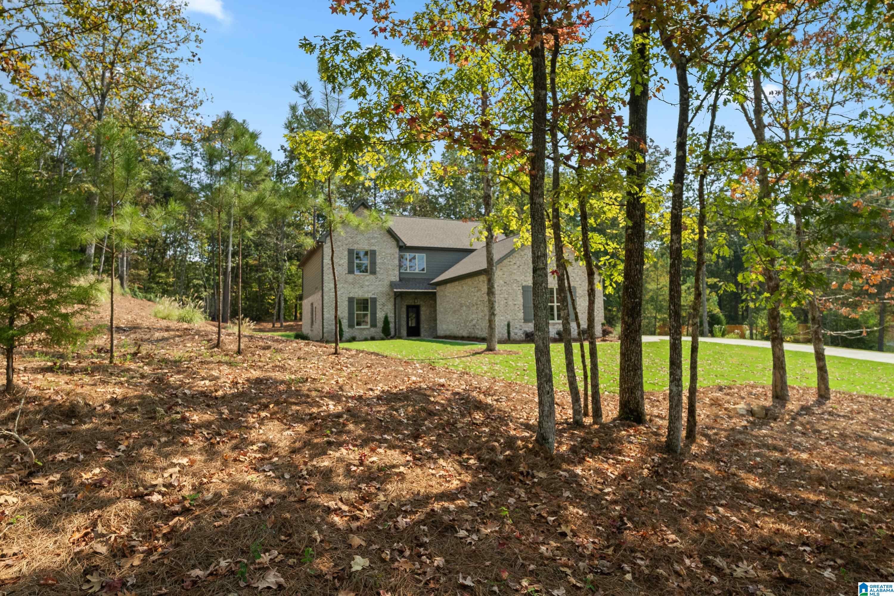 511 Baron Circle Chelsea, AL 35043 - Photo 2 of 52