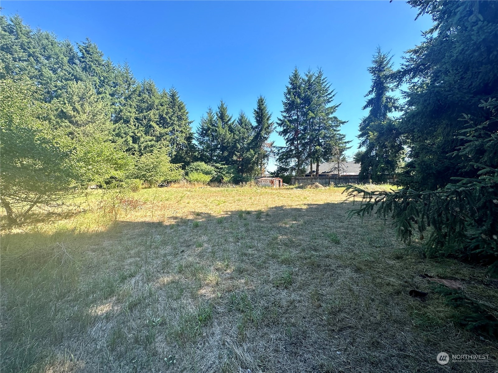 11736 Pendleton Street Southwest Rochester, WA 98579 - Photo 6 of 7 a view of ocean view with large trees
