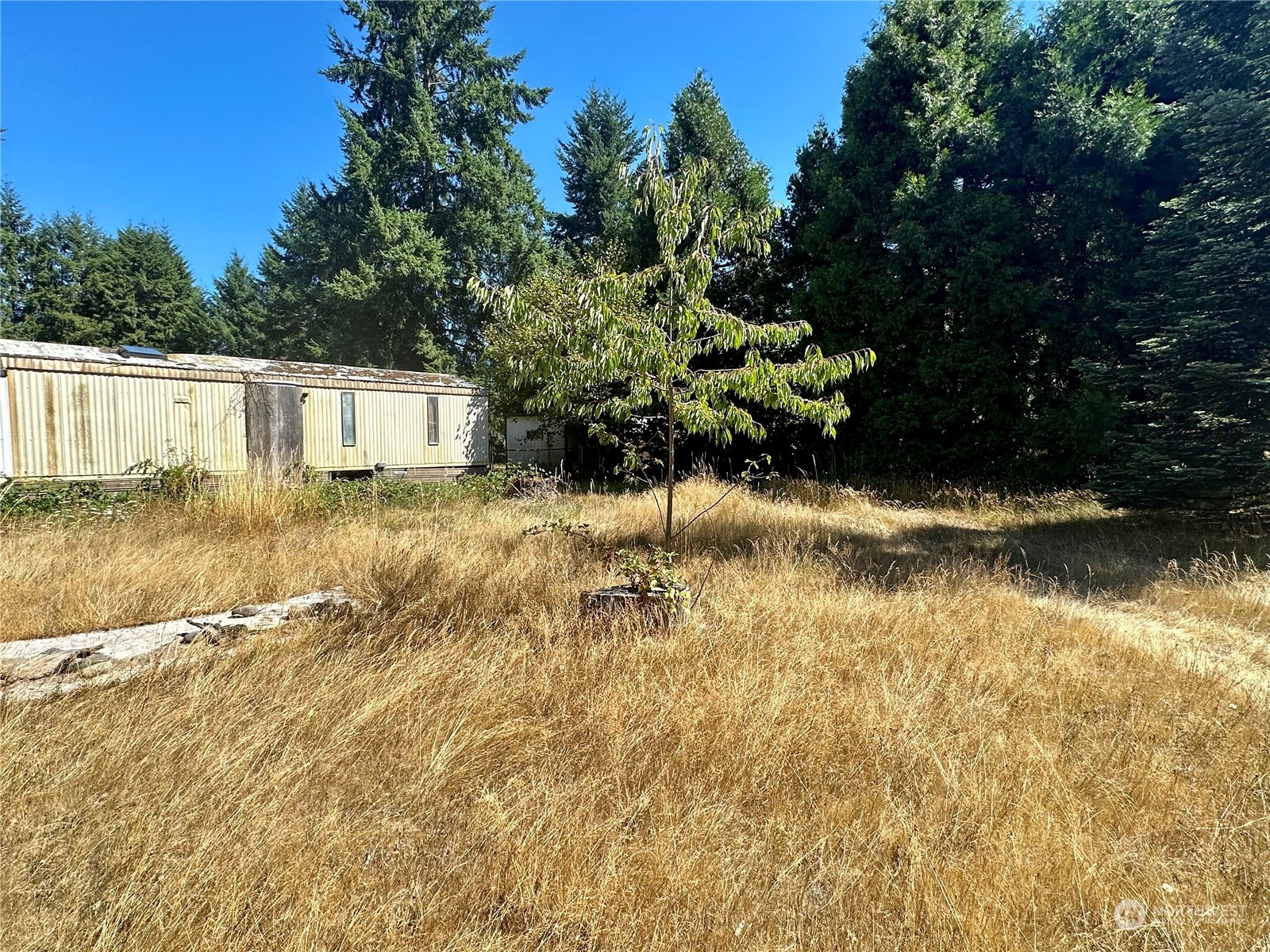 11736 Pendleton Street Southwest Rochester, WA 98579 - Photo 7 of 7 a view of back yard