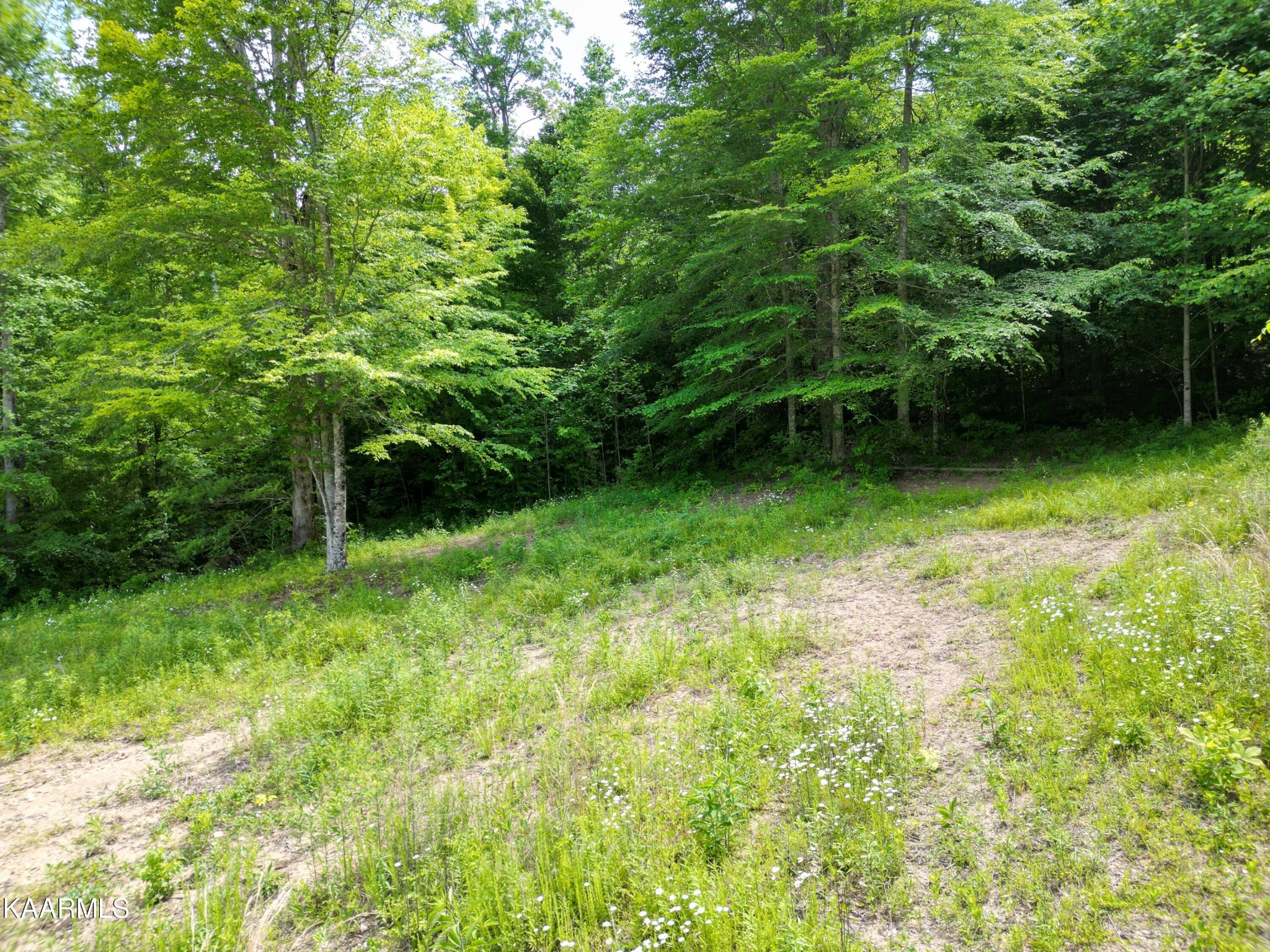 5090 Buffalo Road Oneida, TN 37841 - Photo 2 of 13 Gallery Image 2