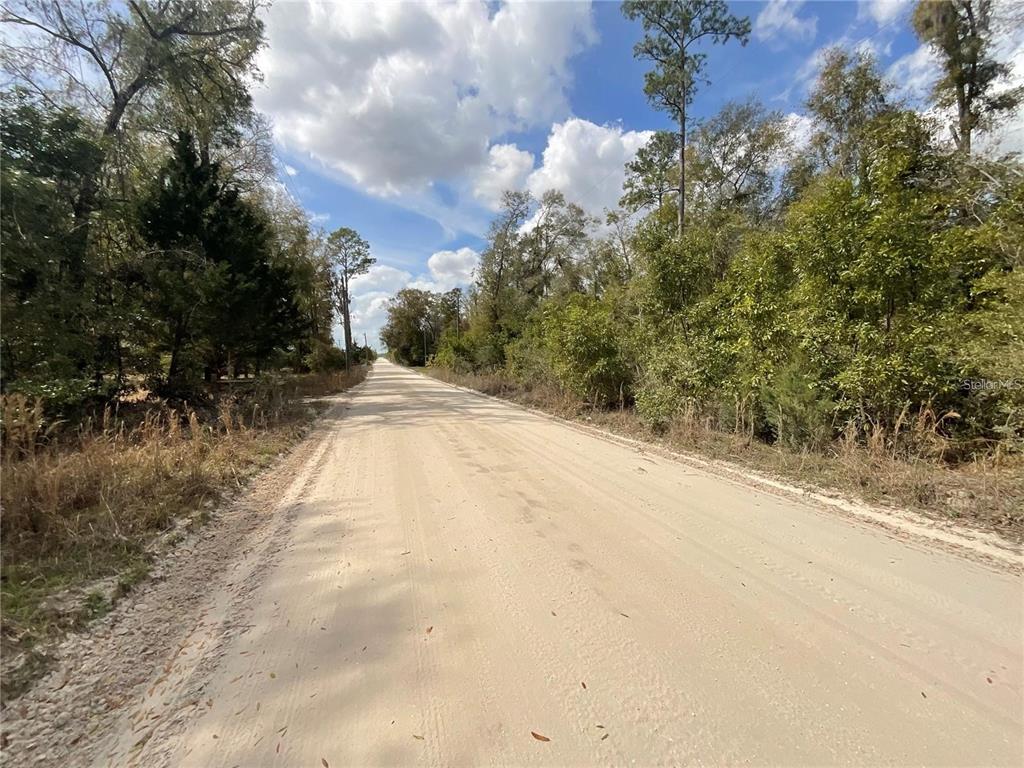 Southwest Old Spanish Road Fort White, FL 32038 - Photo 5 of 6