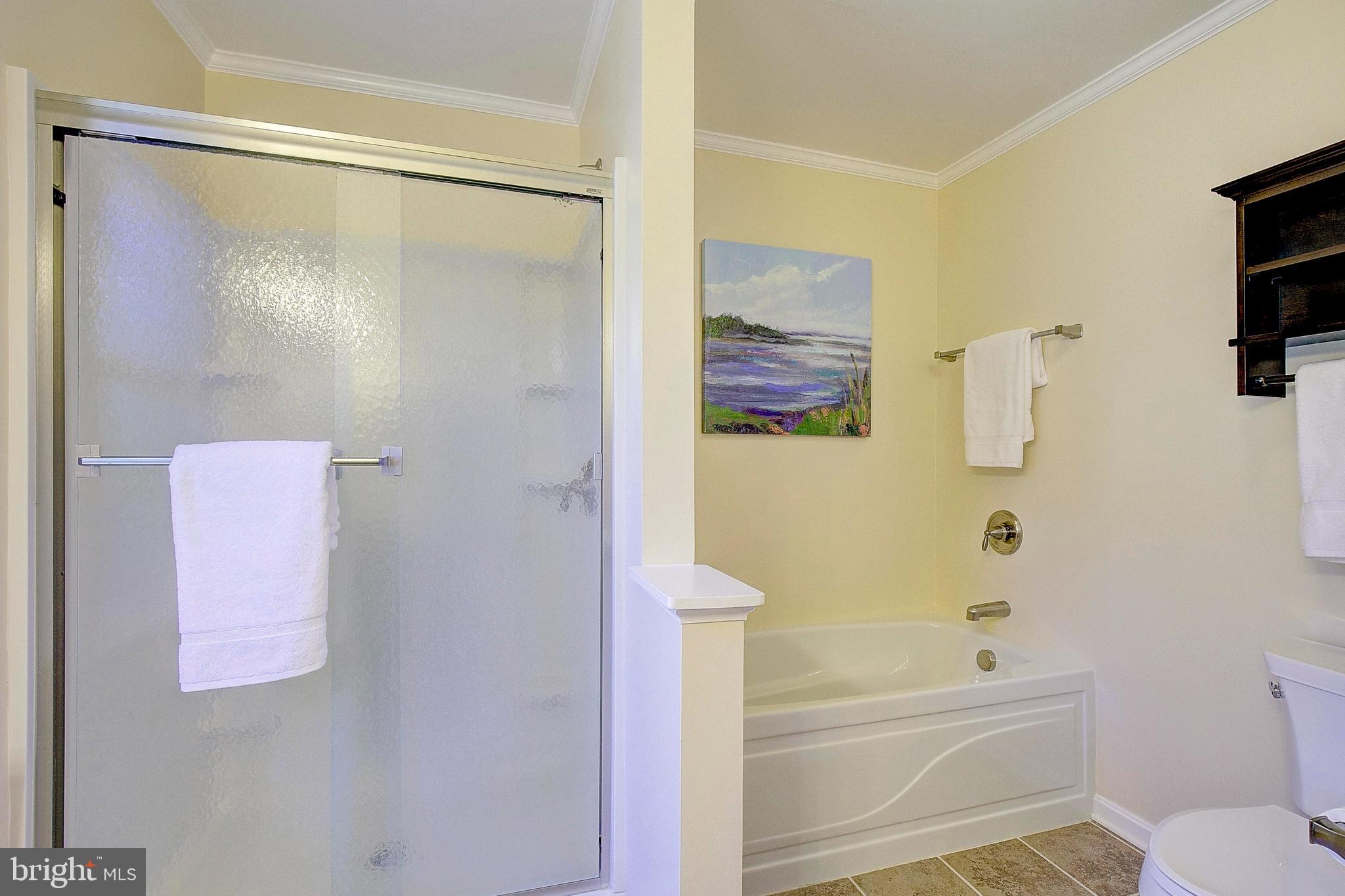 2762 Hambleton Road Riva, MD 21140 - Photo 33 of 60 Primary Bathroom