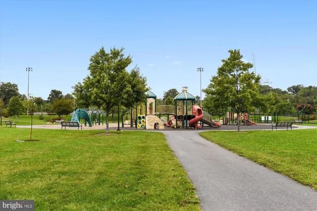 a view of a park with large trees