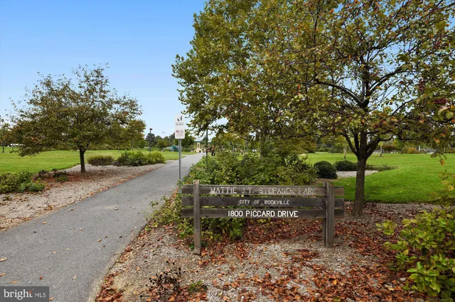 a view of a street with a tree in the background