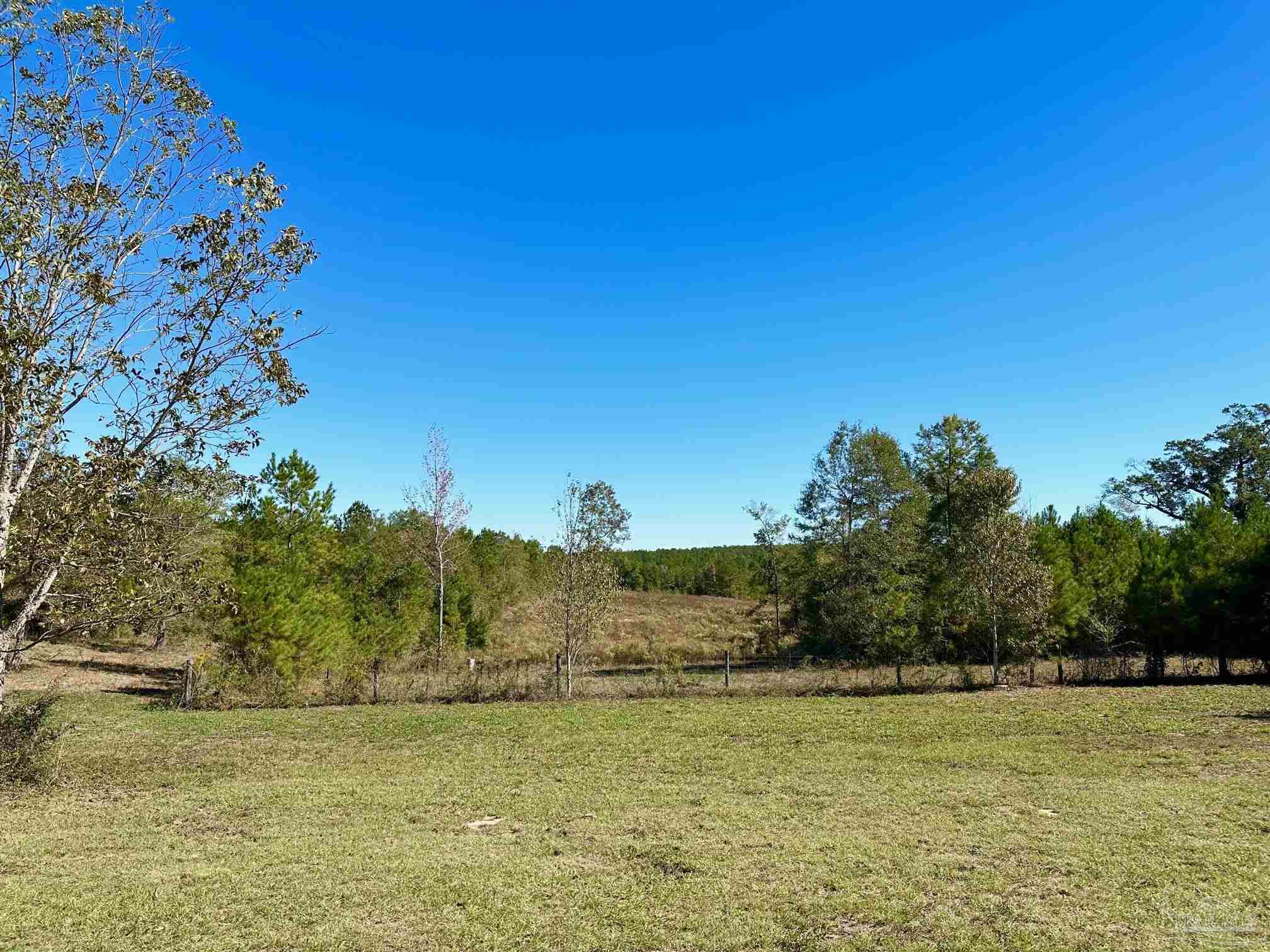 6488 Slash Pine Road Jay, FL 32565 - Photo 33 of 50