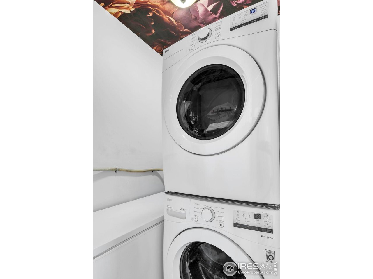 409 Main Street Mead, CO 80542 - Photo 17 of 35