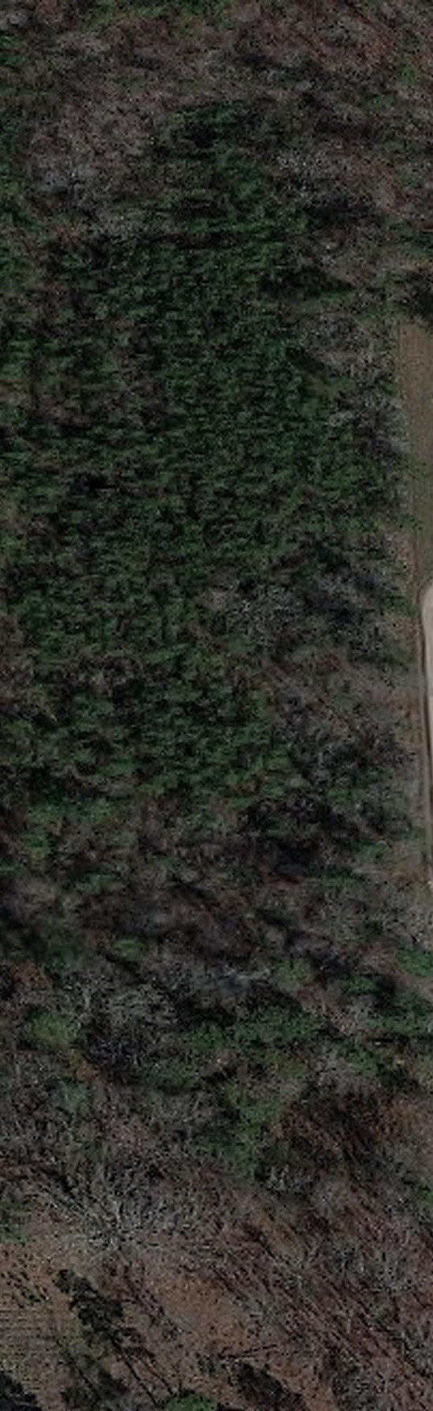 3 Wilkerson Road Cedar Grove, NC 27231 - Photo 2 of 3 Photo 2