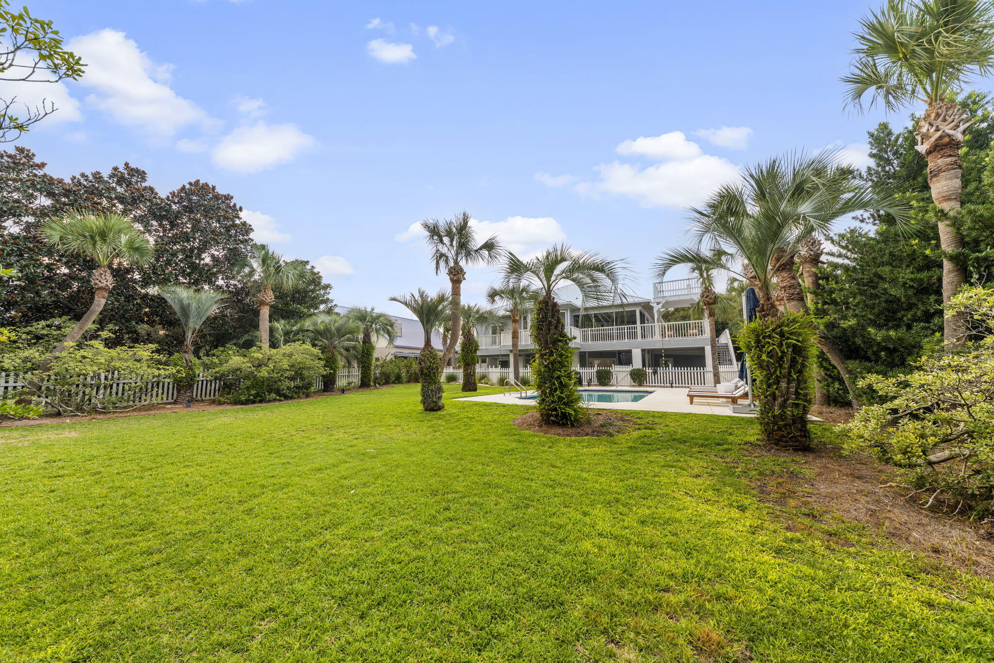 169 Pompano Street Inlet Beach, FL 32461 - Photo 17 of 91 Mature Palm Trees in Backyard