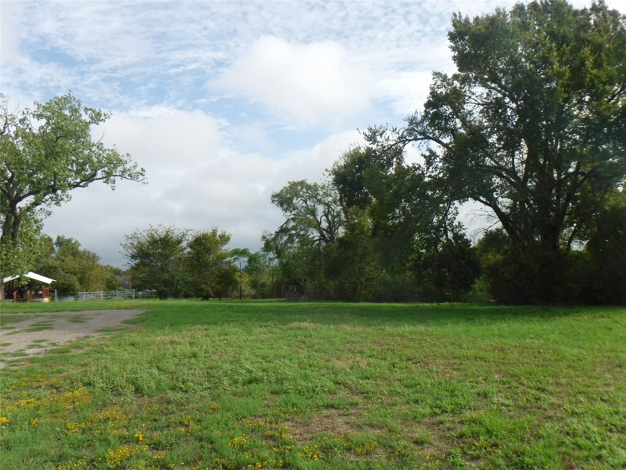 524 Old McDade Road Elgin, TX 78621 - Photo 3 of 9 Expansive open lot featuring a mix of green grass and wild foliage