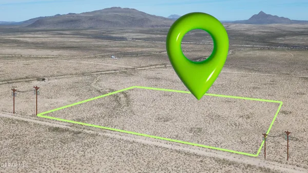 a view of a yard with a swimming pool