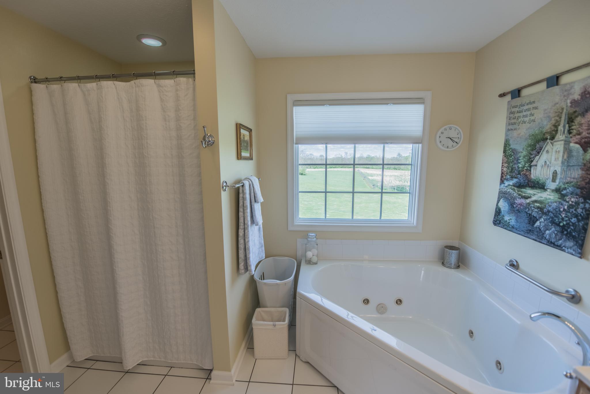 410 Ruebuck Road Clear Brook, VA 22624 - Photo 38 of 70 Master Bath is in rear of the house!