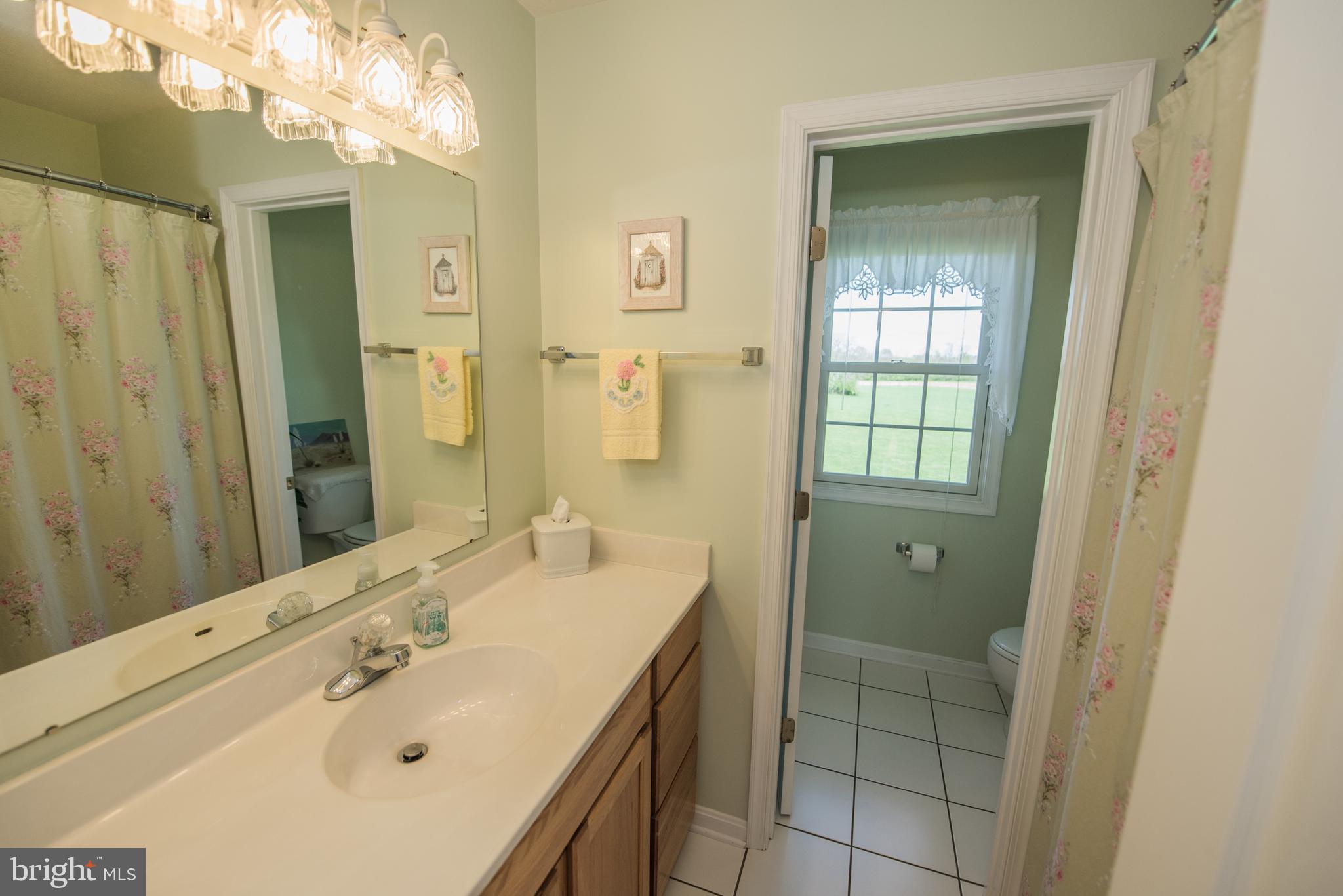 410 Ruebuck Road Clear Brook, VA 22624 - Photo 48 of 70 Second floor hall bath