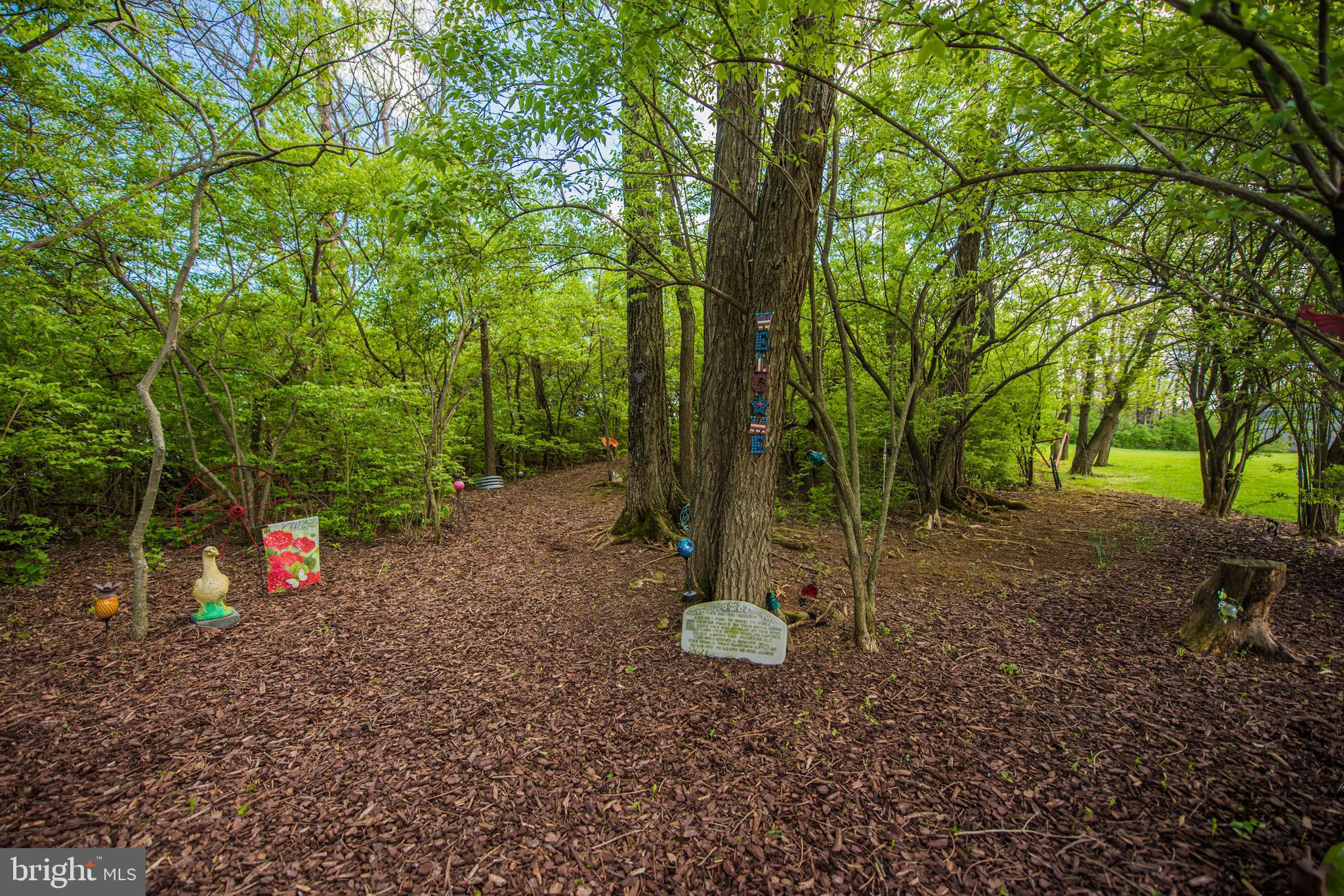 410 Ruebuck Road Clear Brook, VA 22624 - Photo 60 of 70