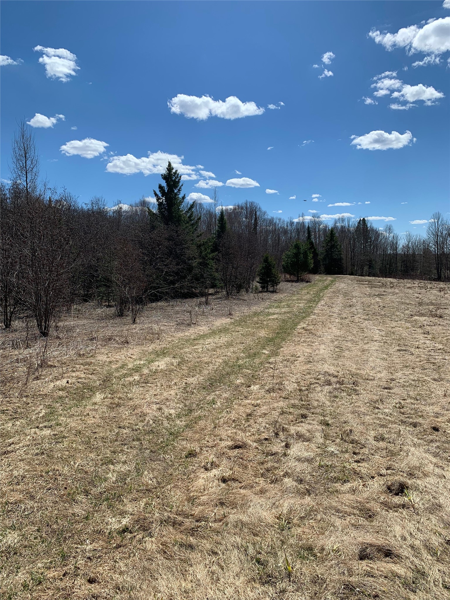 80-acres 80-acres Off South Park Road Butternut, WI 54514 - Photo 22 of 44