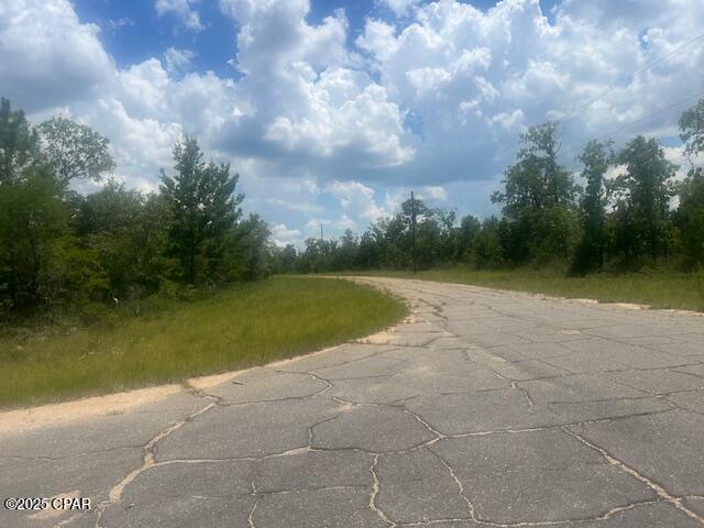 Tbd Cachet Court, Unit 9 Chipley, FL 32428 - Photo 9 of 11