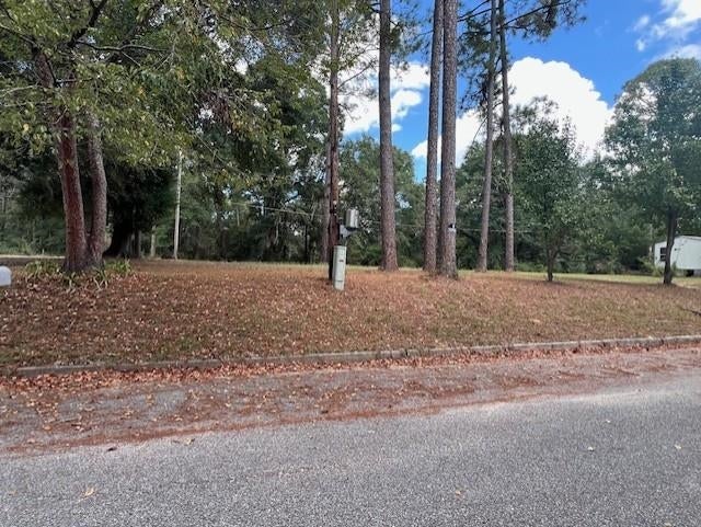 332 Jericho Road Andalusia, AL 36421 - Photo 17 of 18 Gallery Image 17