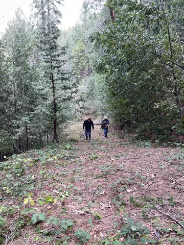 a black and white photo of a painting