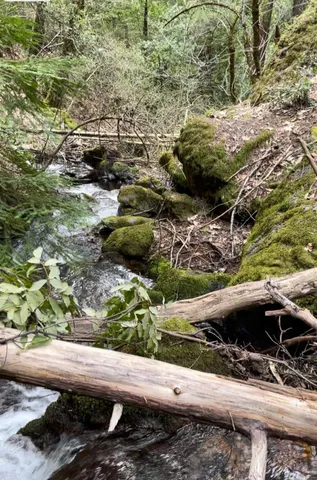 $300,000 | 15735 Mountain House Road, Camptonville, CA 95922