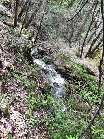 a view of a backyard of the house