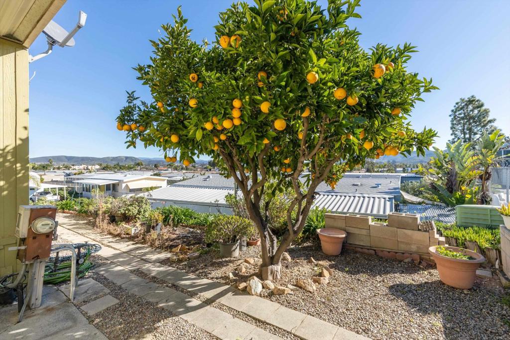 650 South Rancho Santa Fe Road, Unit 118 San Marcos, CA 92078 - Photo 7 of 42