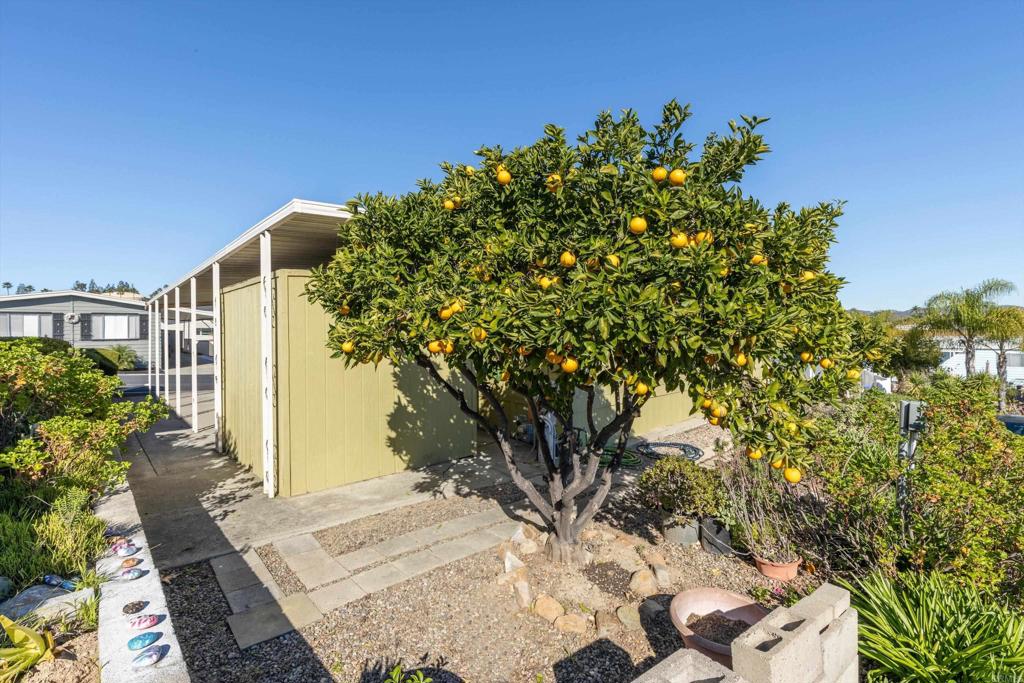 650 South Rancho Santa Fe Road, Unit 118 San Marcos, CA 92078 - Photo 8 of 42