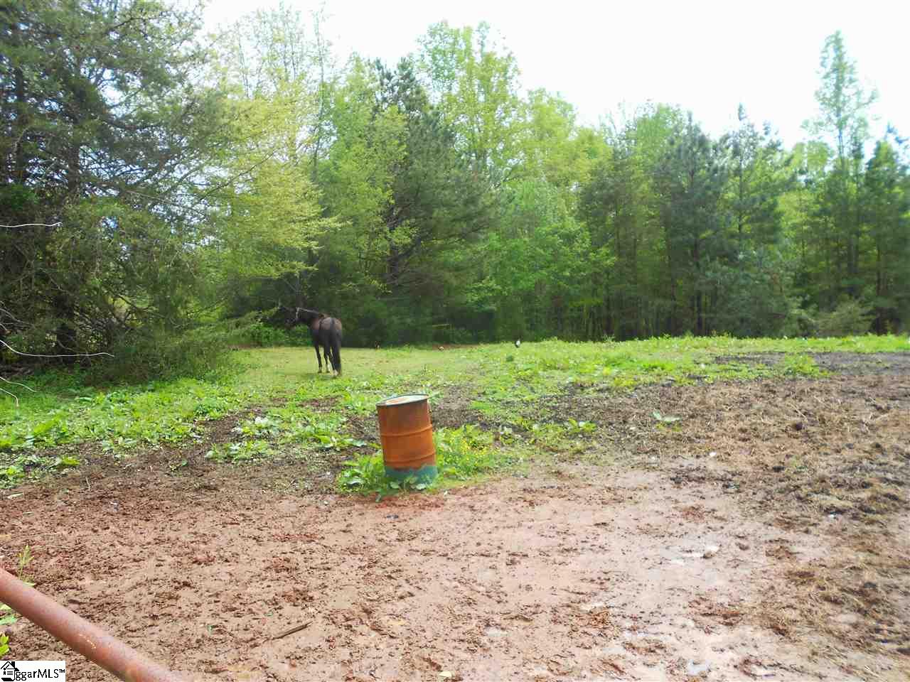1299 Old Liberty Road Easley, SC 29640 - Photo 8 of 8