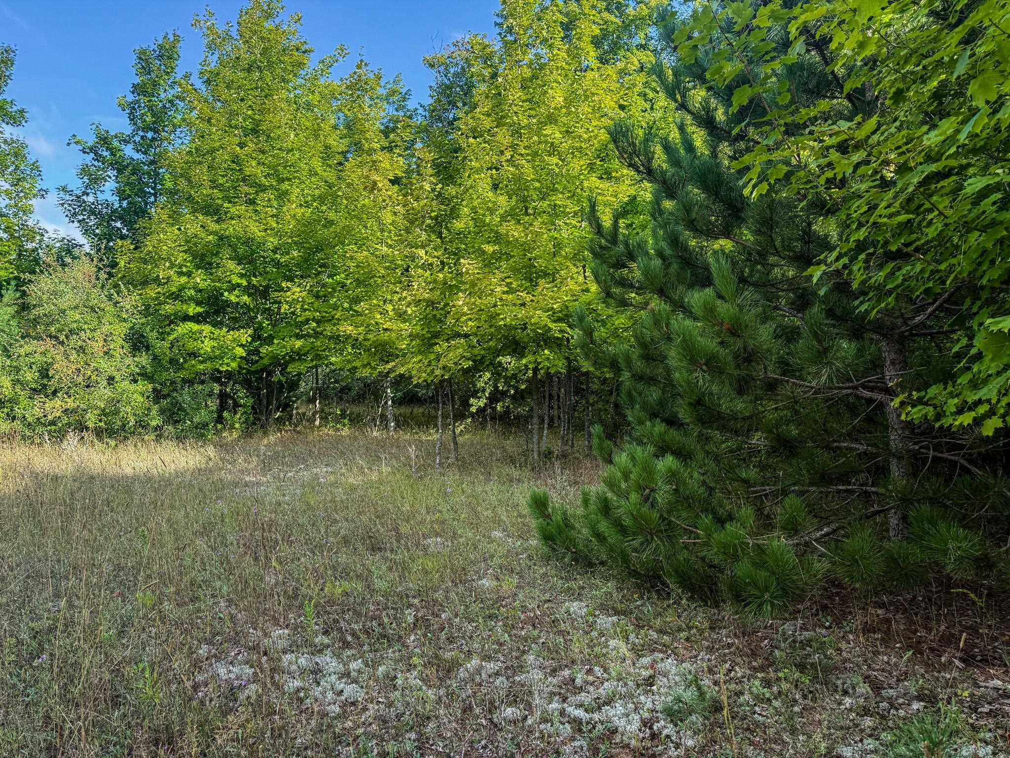 1949897-646025ee-0364-4f3e-8cd7-8b6e47112537.JPG