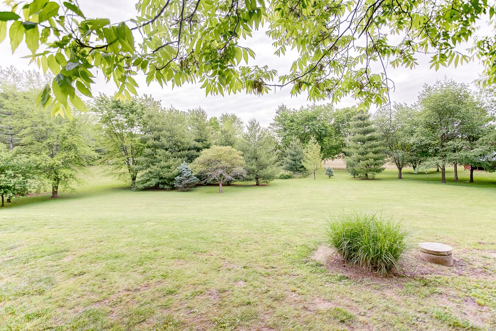 2051 Riley Road Dupo, IL 62239 - Photo 43 of 53 Gallery Image 43