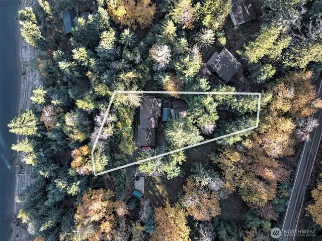 a view of backyard with large trees
