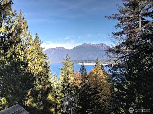a view of a house with a yard and large tree