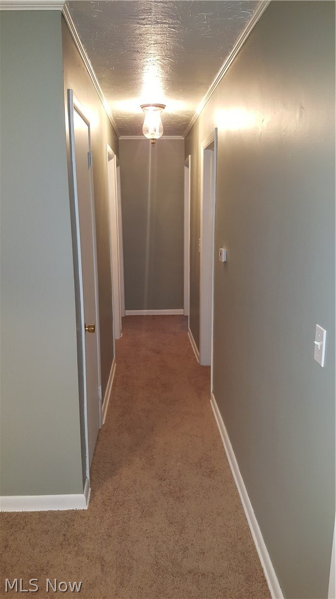 1640 Bronson Road Akron, OH 44305 - Photo 14 of 21 Hallway