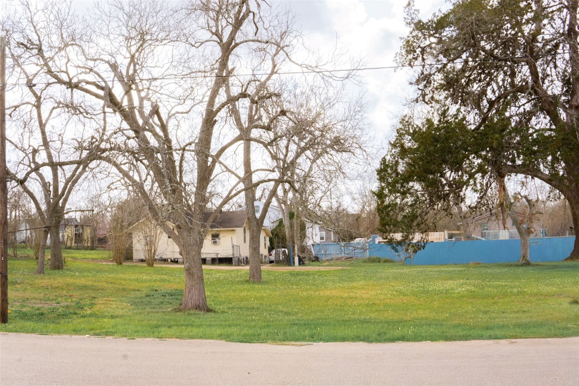 204 3rd Street Rosenberg, TX 77471 - Photo 2 of 7 a view of a park with large trees