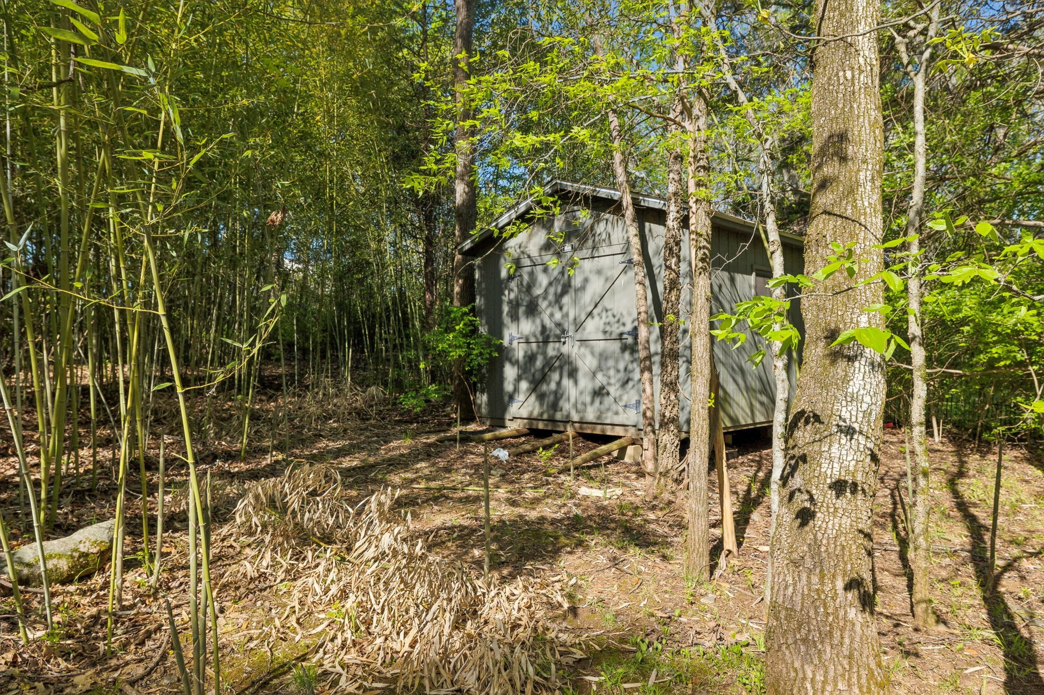 3055 Smith Springs Road Antioch, TN 37013 - Photo 45 of 59 a view of a yard with large trees