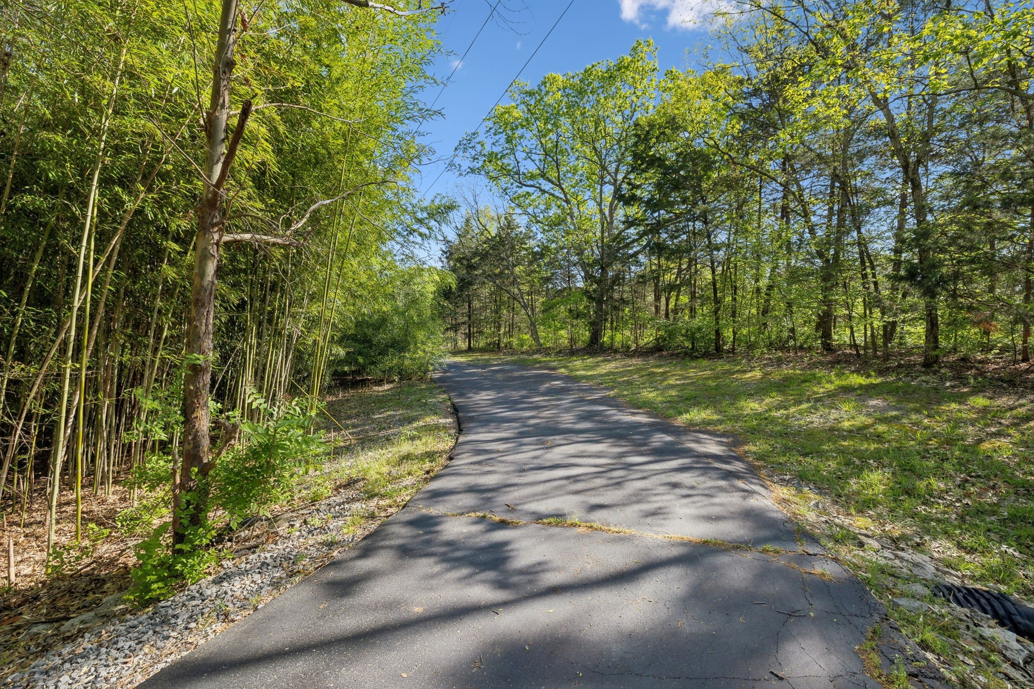3055 Smith Springs Road Antioch, TN 37013 - Photo 51 of 59 a view of a yard with plants and trees