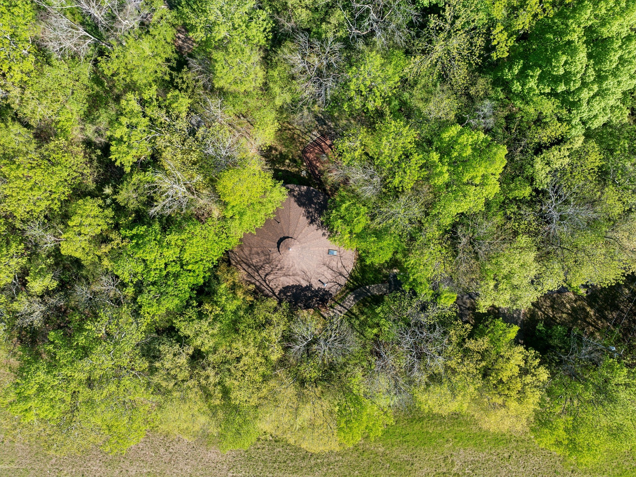 3055 Smith Springs Road Antioch, TN 37013 - Photo 59 of 59 a backyard of a house with a yard and large tree