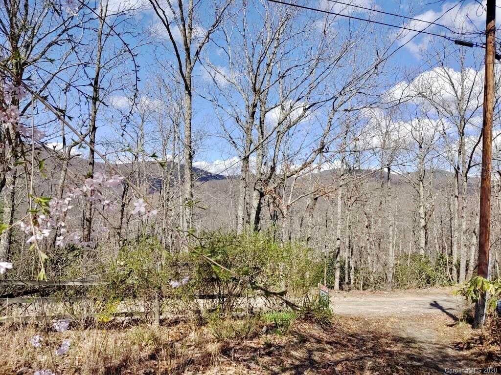 48 New Lite Road Fairview, NC 28730 - Photo 2 of 6 Gallery Image 2