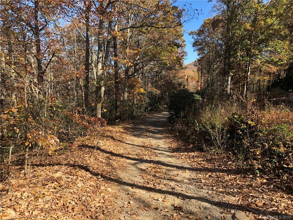 48 New Lite Road Fairview, NC 28730 - Photo 3 of 6 Gallery Image 3
