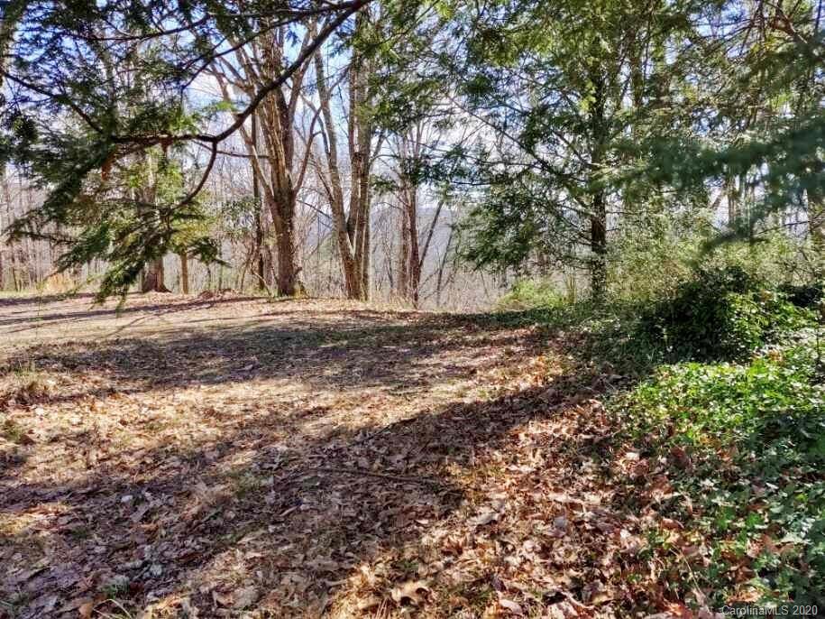 48 New Lite Road Fairview, NC 28730 - Photo 5 of 6 Gallery Image 5