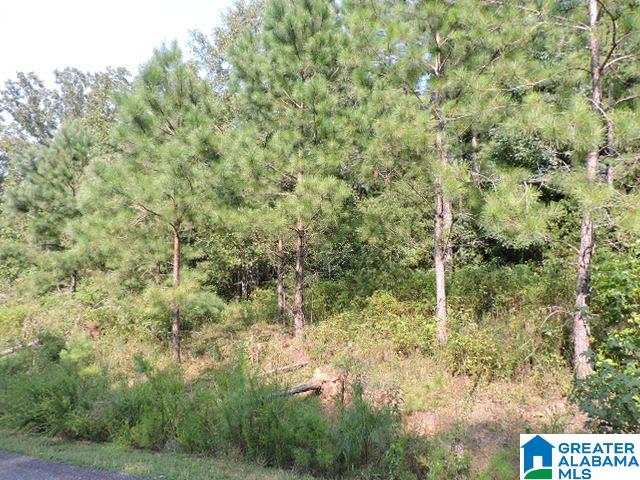 Brookwater Pointe, Unit 32 Wedowee, AL 36278 - Photo 3 of 6