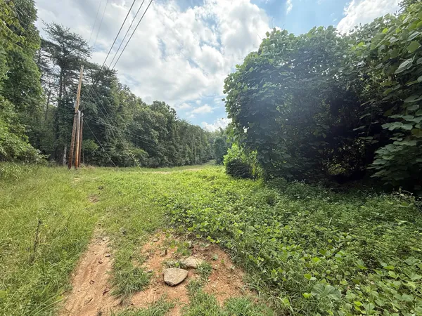 a view of backyard with green space