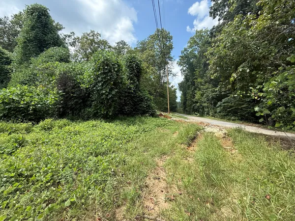 a view of outdoor space and yard